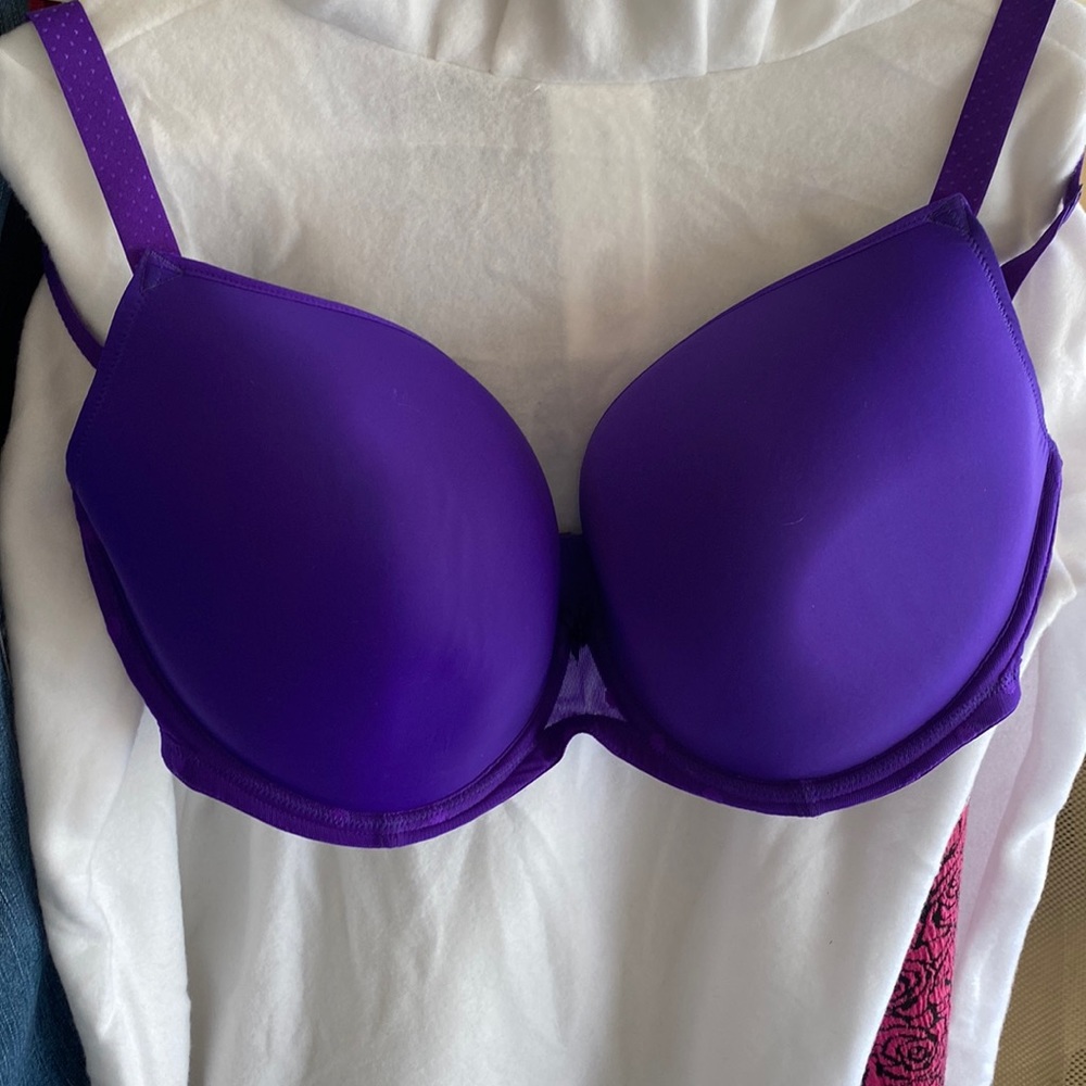 38GG Cleo by Panache NWT koko spirit plunge  purple bra